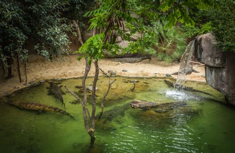 Bioparc