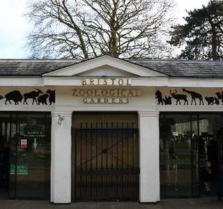 Bristol Zoo Gardens