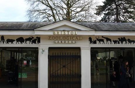 Bristol Zoo Gardens