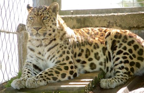 Marwell Zoo
