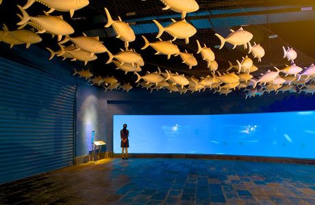 Arakawa Museum of Aqua