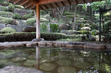 Minakuchi Onsen Tsubaki no Yu