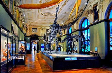 The Cater Museum