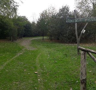 Oasi WWF San Giuliano Milanese