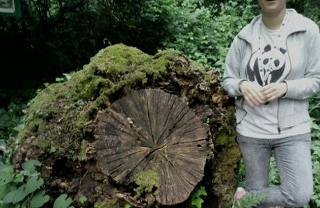 Oasi WWF Bosco di Zivido