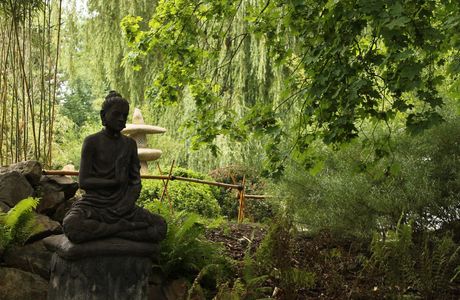 Ahndong Hoban Nature Forest