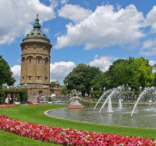Collinisteg