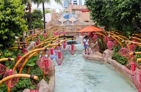 Adventure Cove Waterpark