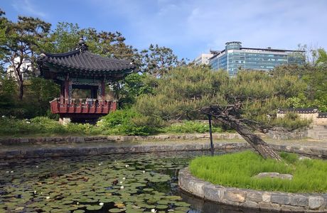 Ilsan Lake Park