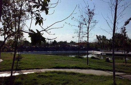Bosque Urbano Torreon