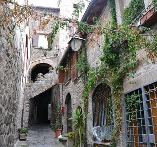 Borgognoni Marco
