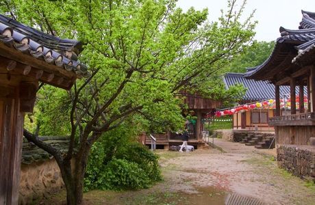 Bongjeongsa Temple