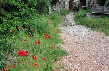 Castello di Tregnago