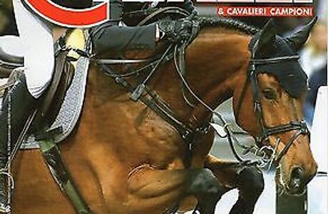 Cavalli & Cavalieri A.S.D
