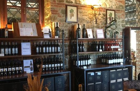 Castelnuovo's Crazy Beer
