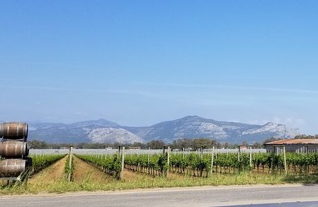 Cantina Sant'Andrea Azienda Agricola