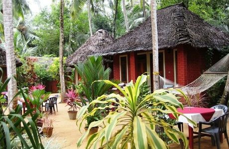 Ayurarogyam Wellness Centre