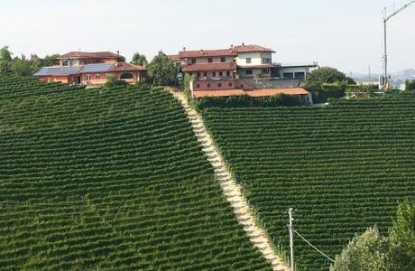 Azienda Agricola Veglio Mauro
