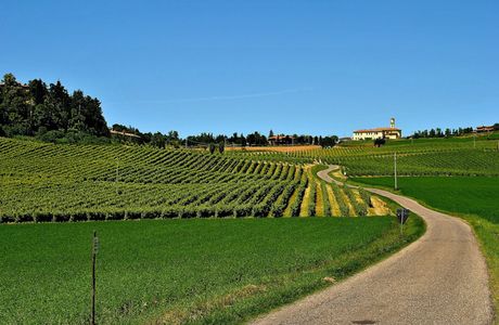 Azienda Agricola Molare's