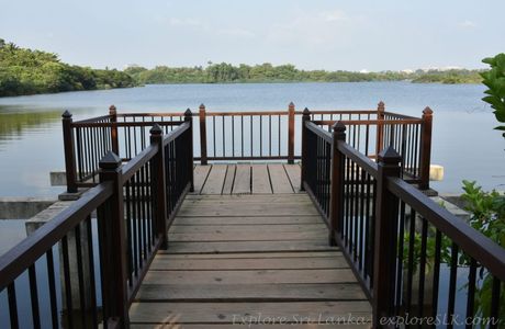Beddegana Wetland Park