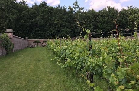 Domein Hof te Dieren