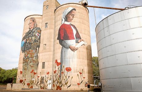 Devenish Silo Art