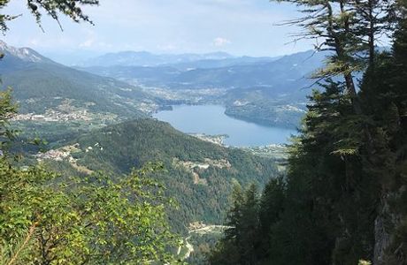 Il Respiro Degli Alberi