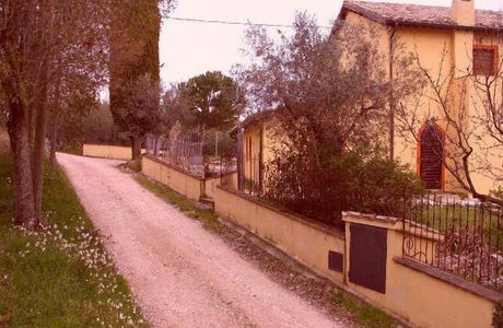Il Vivismo