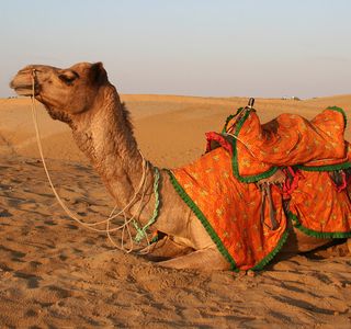 Hinglaj Tour & Travels