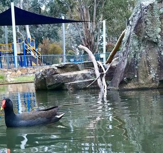 John Knight Memorial Park