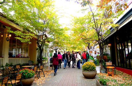 Jukjeon Cafe Street
