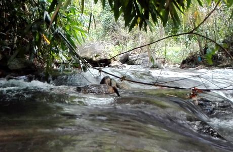 Keralamkundu Waterfall