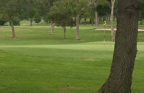 Gosford Golf Club