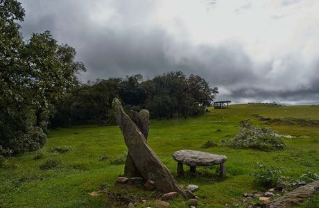 Mawphlang Sacred Forest