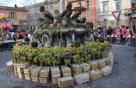 La sagra dell'uva
