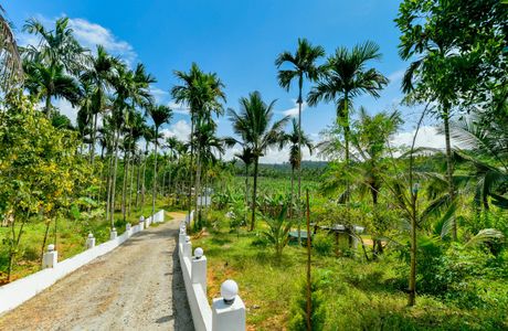 Koottamundu Glass Temple