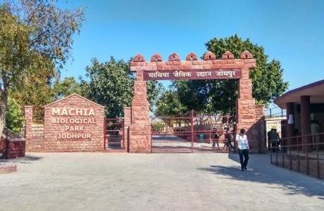 Machia Biological Park
