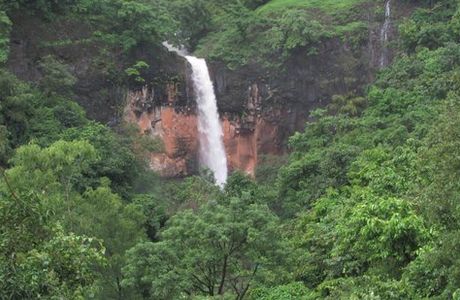 Radhanagari Wildlife Sanctuary