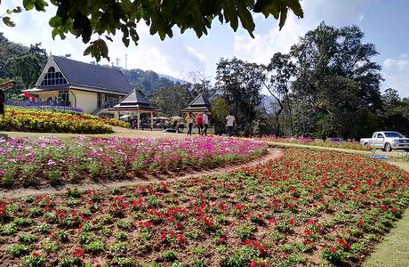 Sajeonggol Botanical Garden