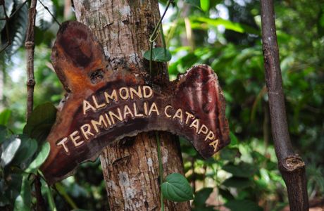 Ranweli Spice Garden