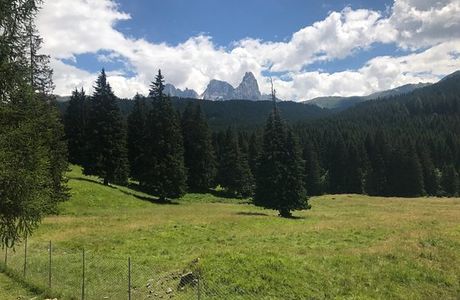 Parco Naturale Paneveggio Pale di San Martino