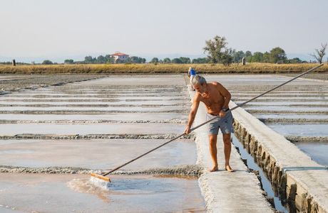 Parco della Salina di Cervia