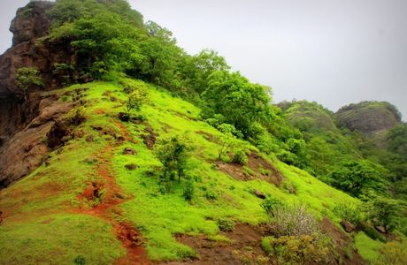 Tandulwadi Fort