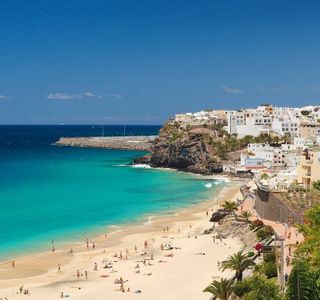 Tortuga Fuerteventura