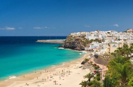 Tortuga Fuerteventura