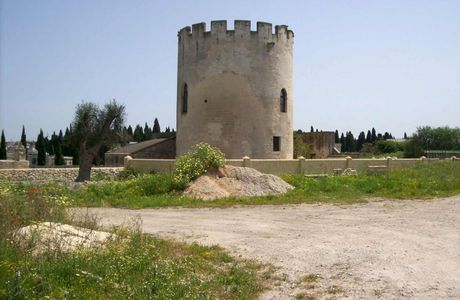 Torre di Belloluogo