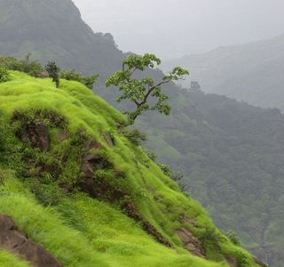 Silent Valley National Park