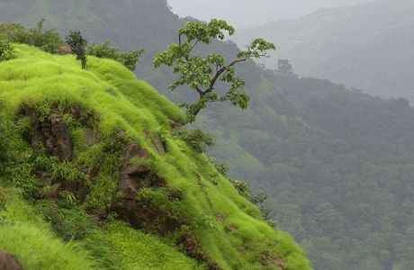 Silent Valley National Park