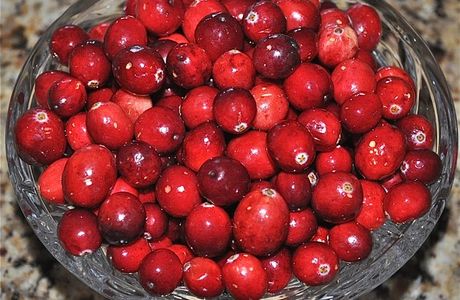 Cranberry Trail
