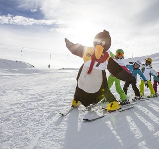 TOP Skischool Ellmau
